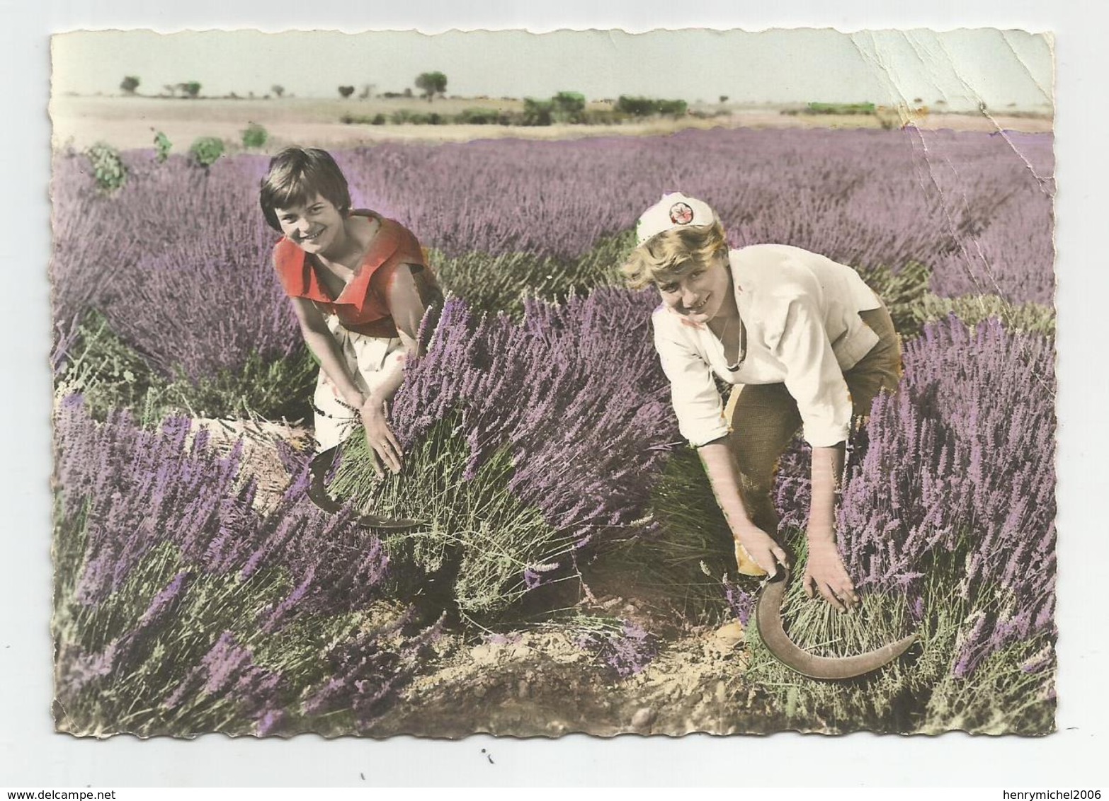 04 Coupeuses De Lavande Paysages De Haute Provence Métier Ed Blanc Manosque N505 - Manosque