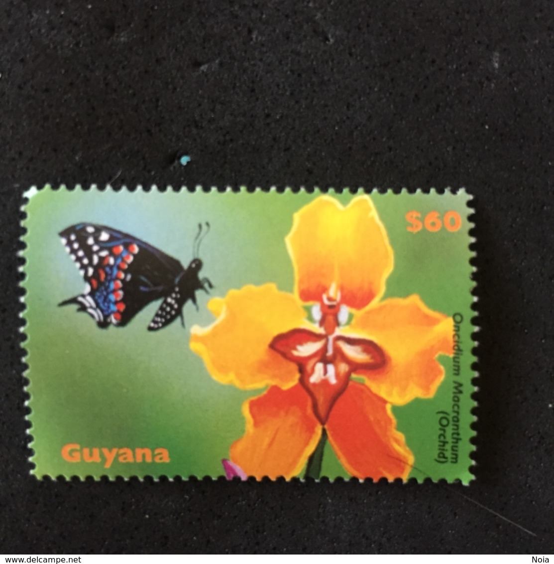 GUYANA. MNH. 5R1309B - Orchideeën