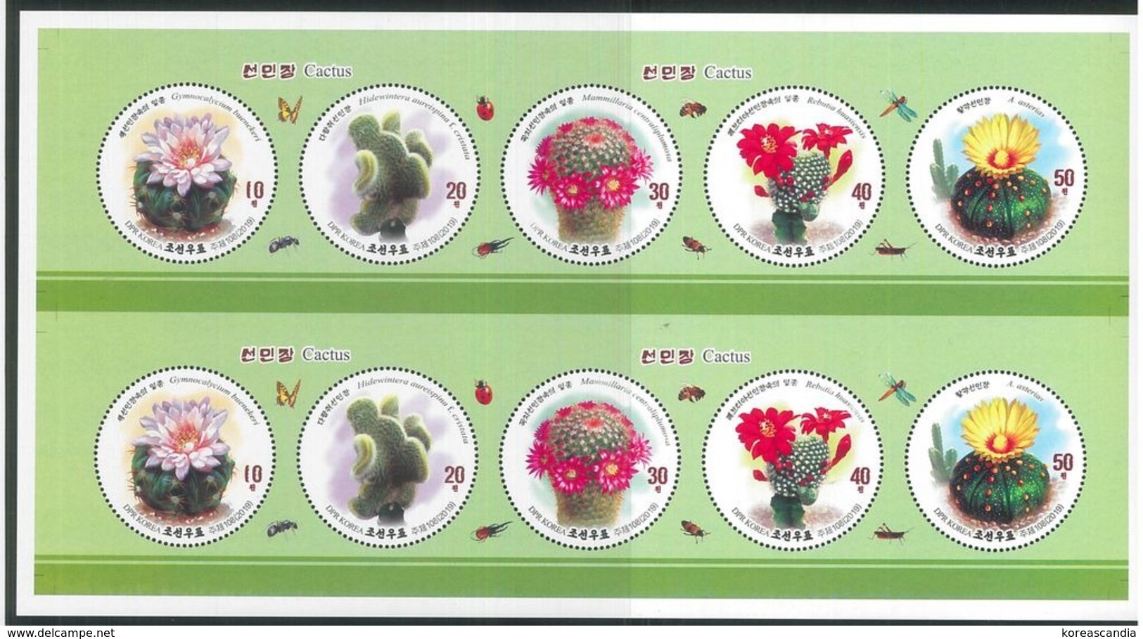 NORTH KOREA 2019 CACTUS & INSECTS STAMP PRINT SHEET - Cactusses