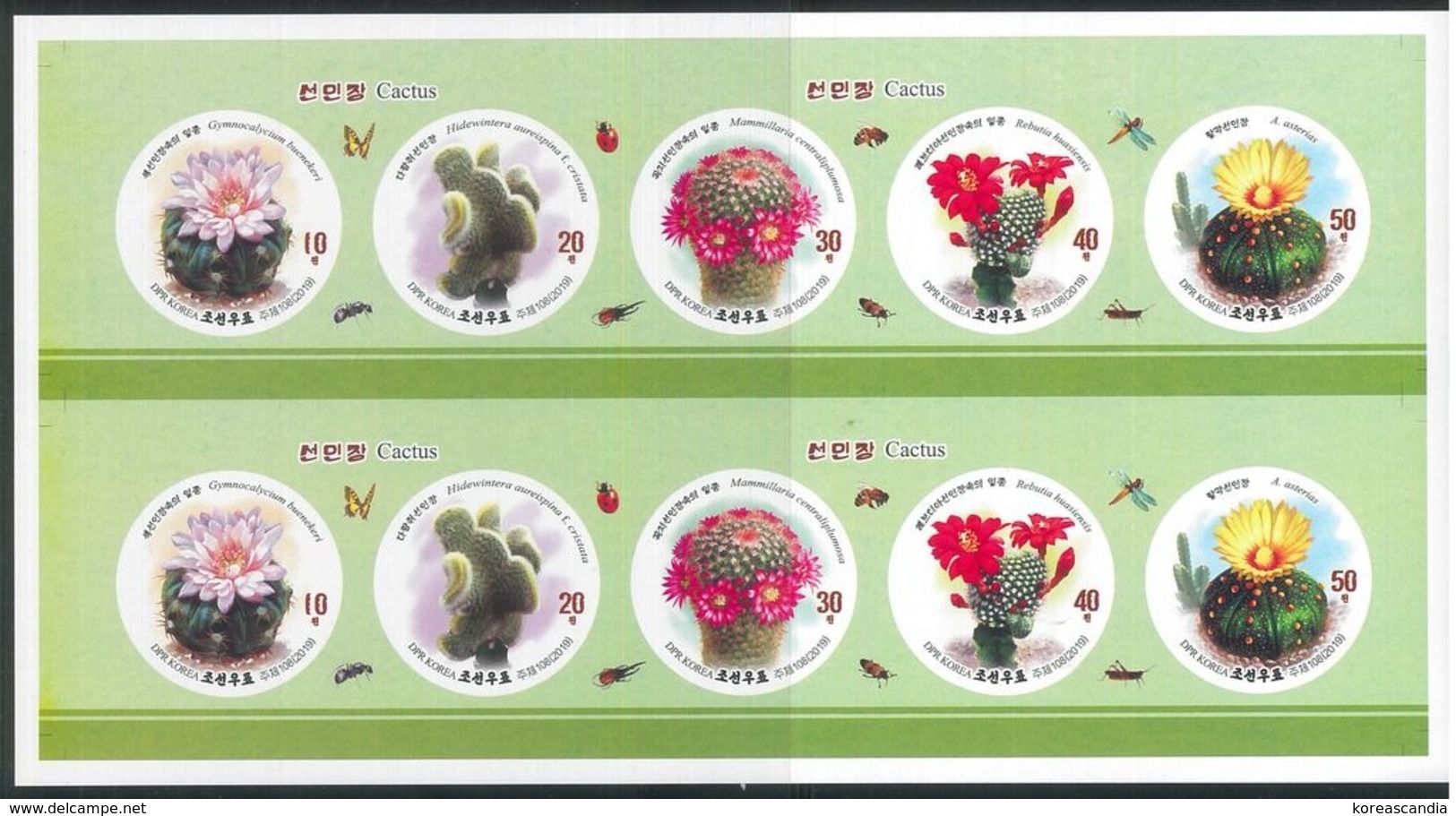 NORTH KOREA 2019 CACTUS & INSECTS PRINT SHEET IMPERFORATED - Cactusses