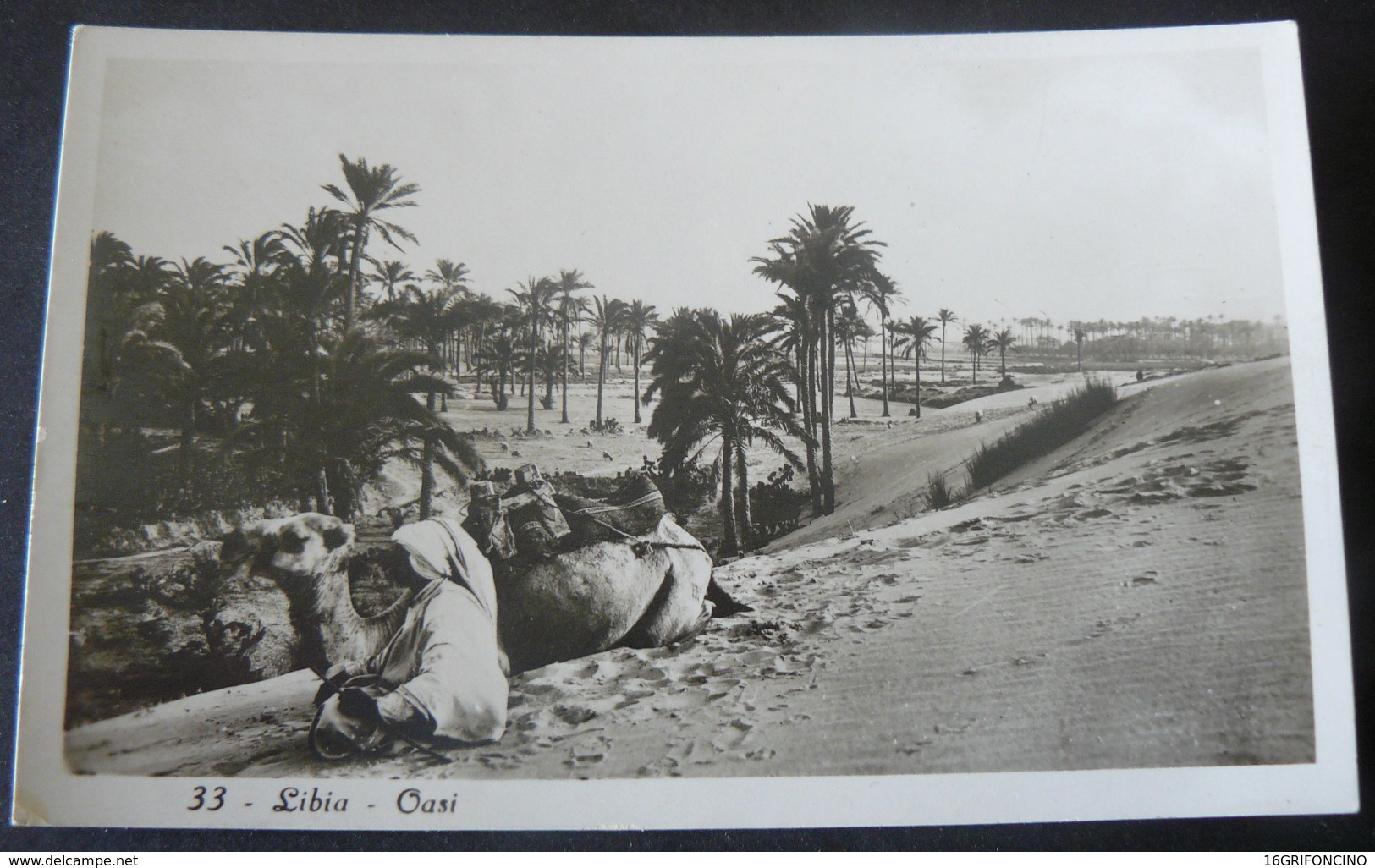 LIBYA  _  BEAUTIFUL OASIS ..BEAUTIFUL POSTCARD  // BELLISIMA CARTOLINA RAFFIGURANTE UNA BELLISSIMA OASI - Libia