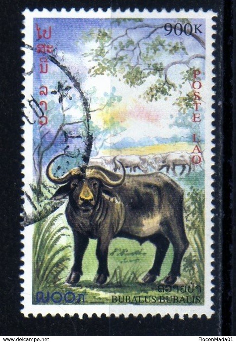 Laos 1999 Buffle Animaux   / Animals Mammals  Buffalo   900 Kip Used Oblitéré N° 1357 - Laos