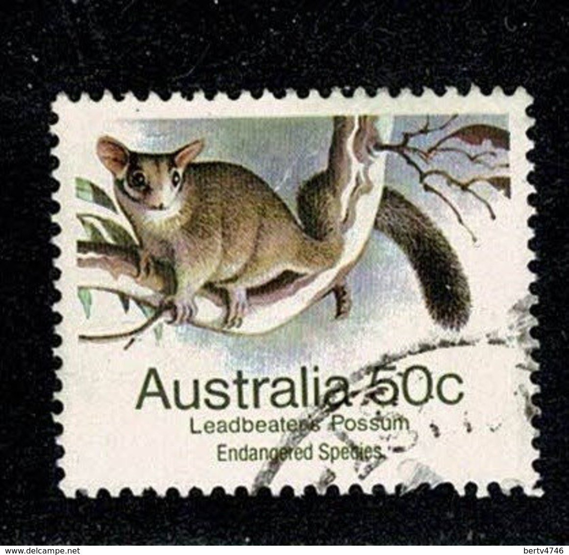 Australie  1985 Leadbeater's Possum 50 C. (o) Used - Oblitérés