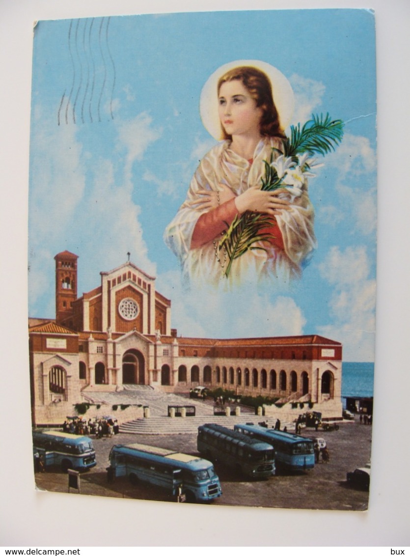 NETTUNO  SANTA MARIA GORETTI  SANTUARIO  CORRIERA BUS PULMAN PULLMAN    LAZIO VIAGGIATA  COME DA FOTO - Other & Unclassified