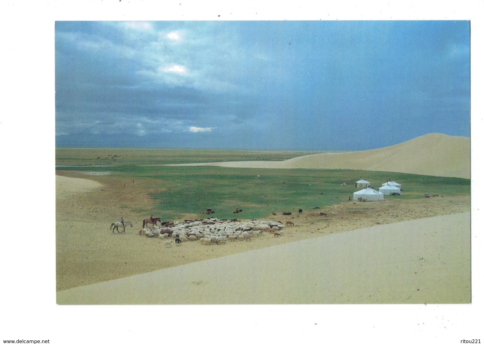 Cpm Asie > Mongolie - Ail In Gobi Mongolia Sheep Mouton - CHÈVRE Tente - Mongolia