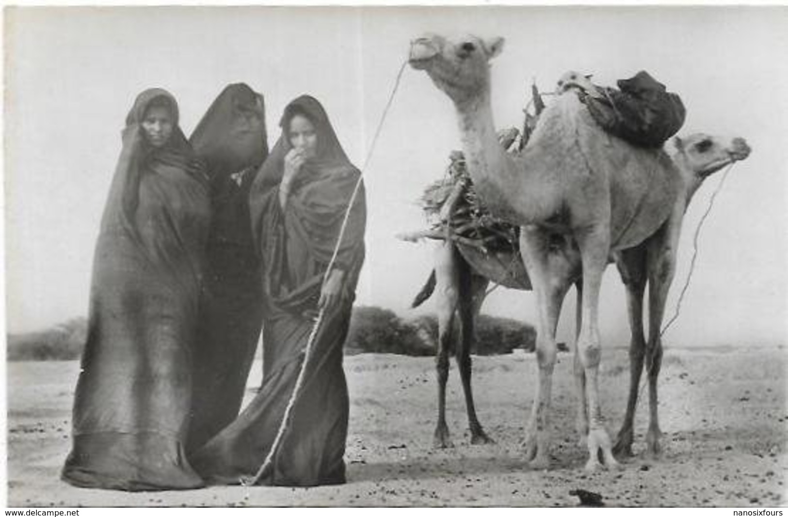 MAURITANIE. FEMMES MAURES CORVEE DE BOIS - Mauretanien