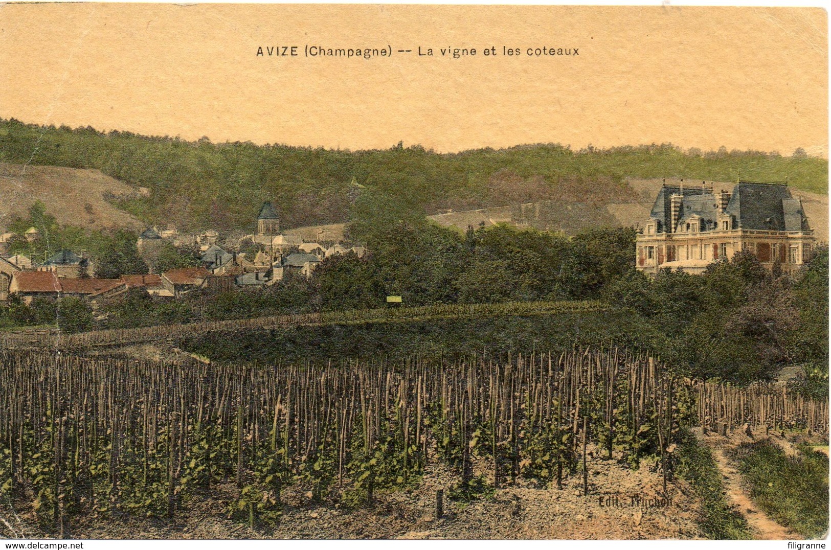 AVIZE LA VIGNE ET LES COTEAUX - Altri & Non Classificati