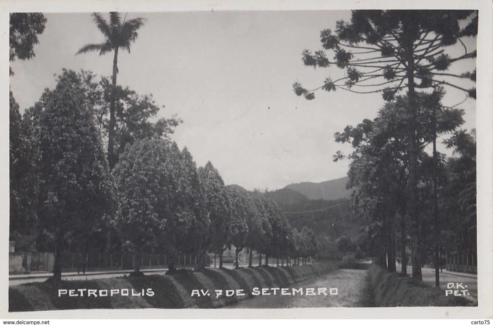 Brésil - Petrópolis Petropolis - Avenidad 7 De Setembro - Carte-photo - Altri & Non Classificati