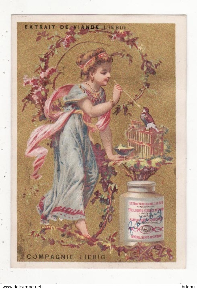 Chromo  LIEBIG   Femme Et Oiseau, Fleurs - Liebig