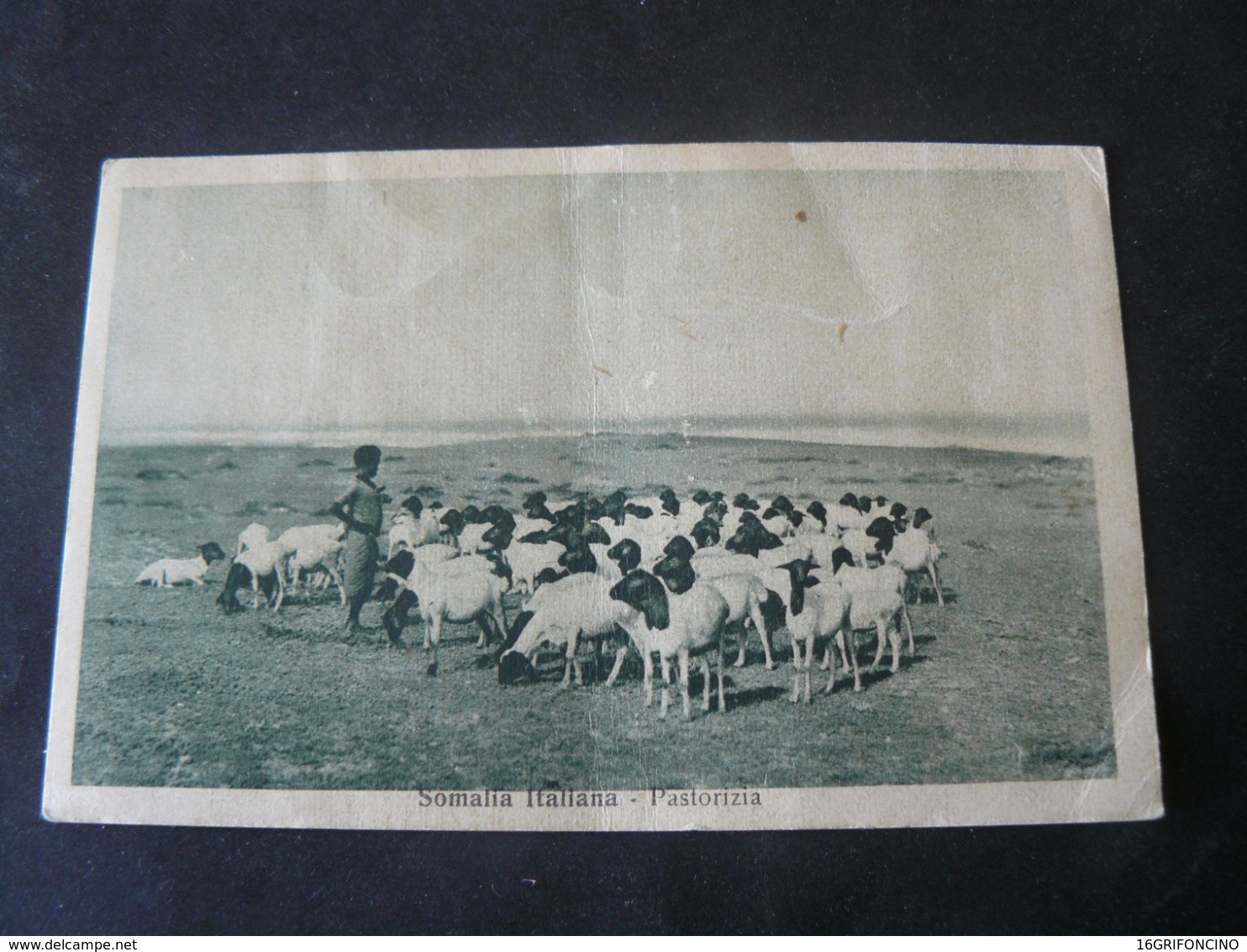 SOMALIA  ITALIAN  COLONY 1936 : STOCK - RAISING /  AL  PASCOLO..VIAGGIATA PER  S. MARIA CAPO A VETERE - Somalie