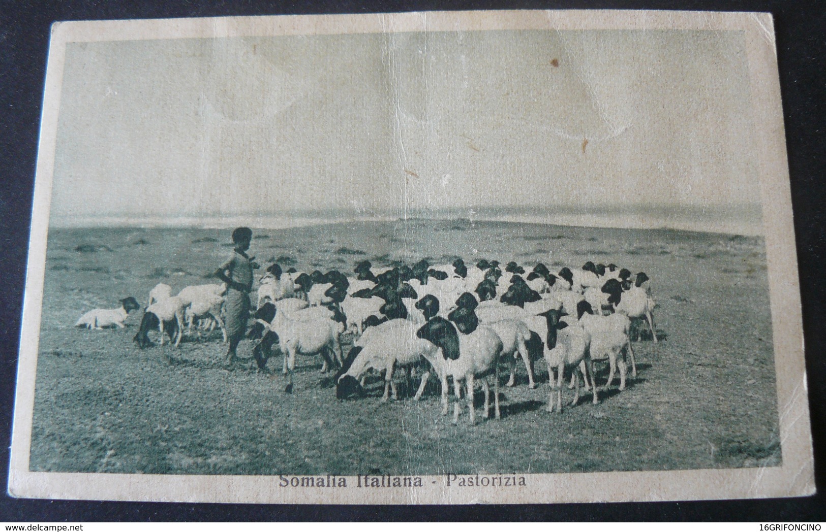 SOMALIA  ITALIAN  COLONY 1936 : STOCK - RAISING /  AL  PASCOLO..VIAGGIATA PER  S. MARIA CAPO A VETERE - Somalie