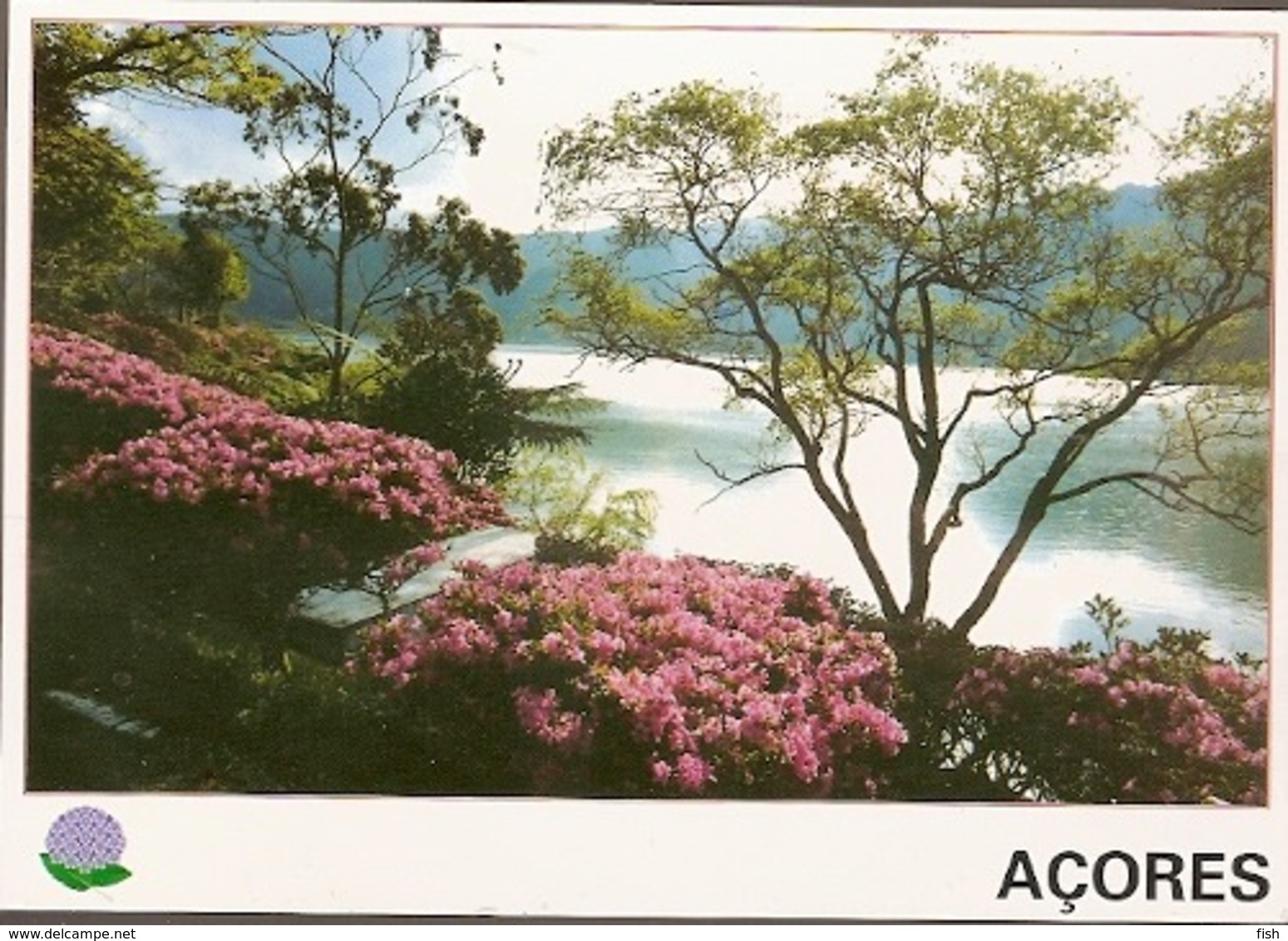 Portugal  ** & Postal Stationery, Teal, Anas Crecca, Laguna De Furnas, Sao Miguel, Azores 1998 (5566) - Interi Postali