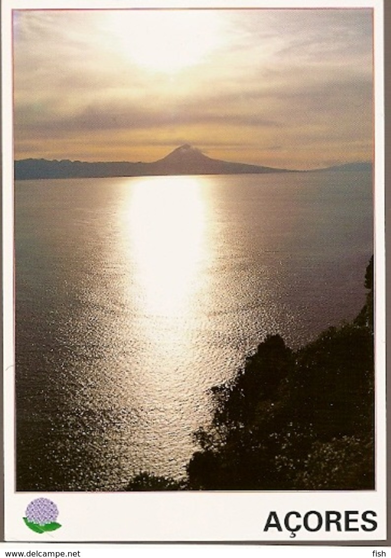 Portugal  ** & Postal Stationery, Teal, Anas Crecca, Pico Mountain, Azores 1998 (6884) - Entiers Postaux