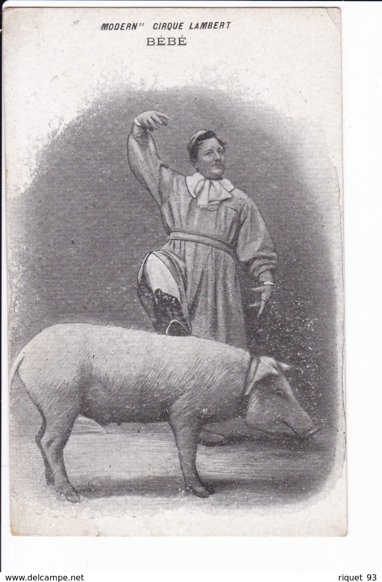 MODERN" CIRQUE LAMBERT - BéBé (cochon Et Son Dresseur) - Otros & Sin Clasificación