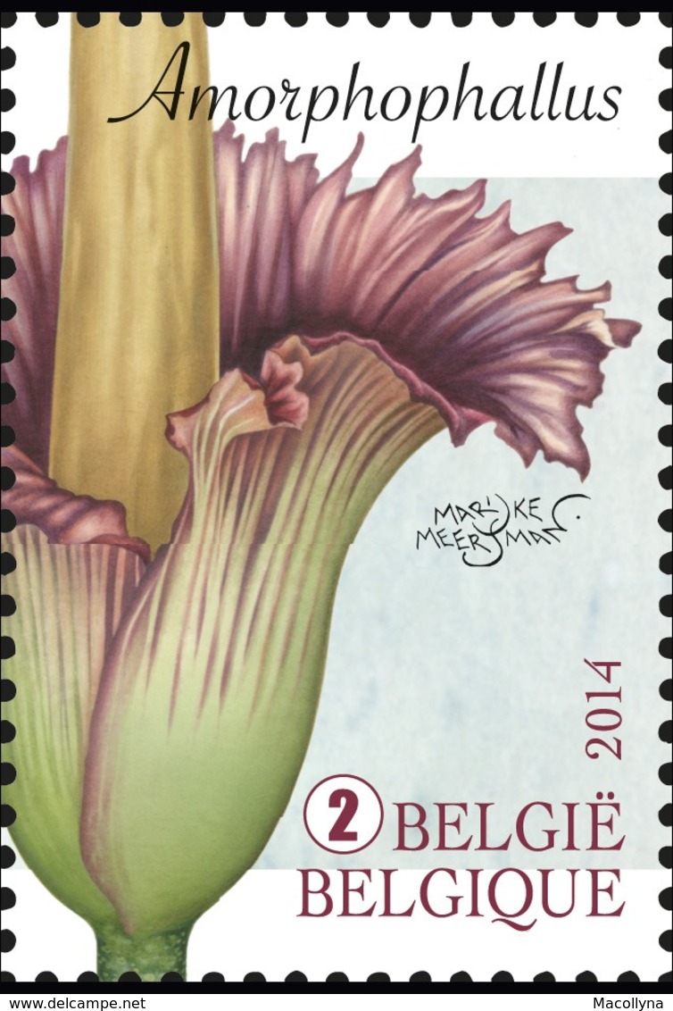 Blok 213** Fantastische Flora 4393/97** Flore Insolité  Bijzondere Planten Uit De Plantentuin (Jardin Botanique) Meise - Nuevos