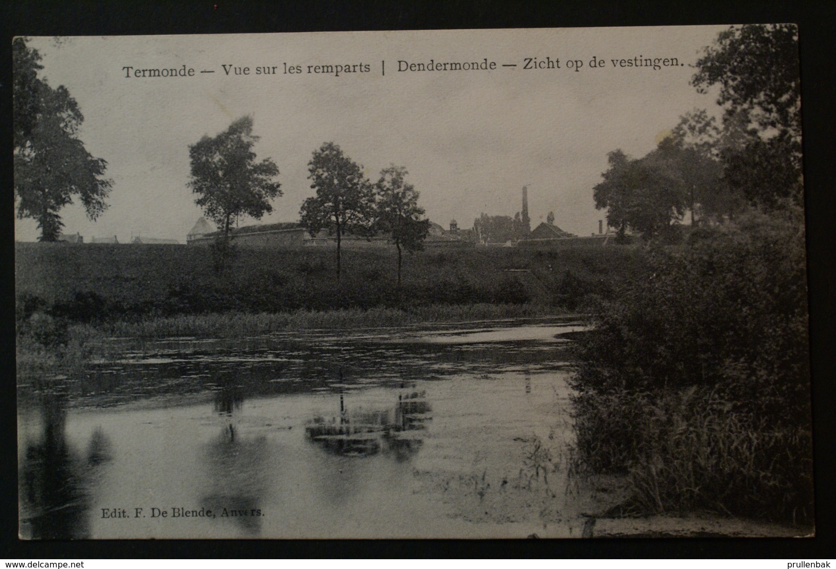 Termonde - Vue Sur Les Remparts - Zicht Op De Vestigingen - Dendermonde