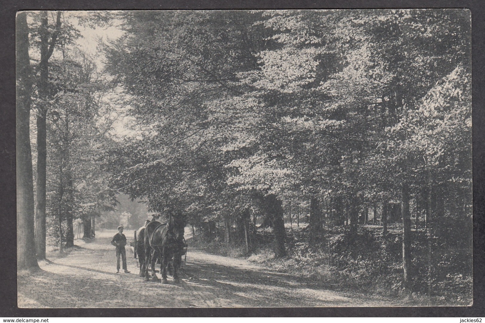 104061/ TERVUREN, Le Parc, Attelage Sortant D'un Sous Bois - Tervuren