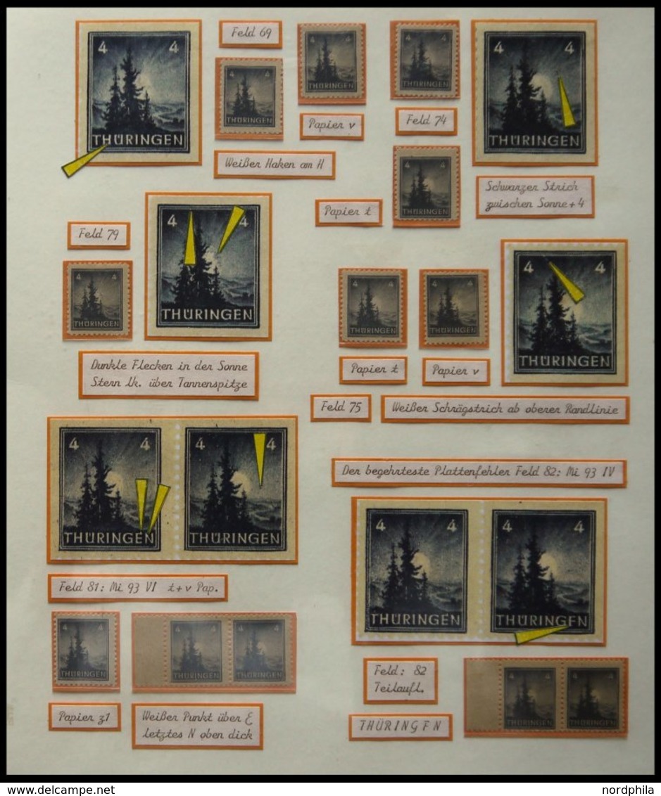 THÜRINGEN 92/3 **,o,Brief,* , Ausstellungssammlung 3 Und 4 Pf. Tannen Im Thüringer Wald, Spezialisiert Nach Papieren, Fa - Andere & Zonder Classificatie