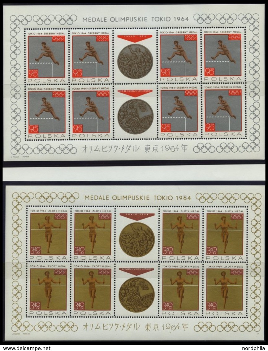 SAMMLUNGEN, LOTS **, Komplette Postfrische Sammlung Polen Von 1964/5 Auf KA-BE Seiten Mit Einigen Kleinbogen Und Zusamme - Collections