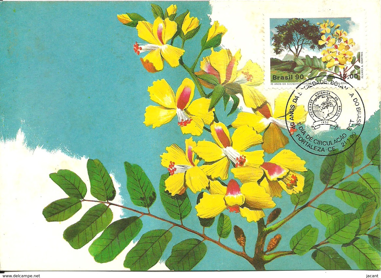Carte Souvenir - Brasil - 40 Anos Sociedade Botanica - Pau-brasil - Caesalpina Echinata - Maximum Cards