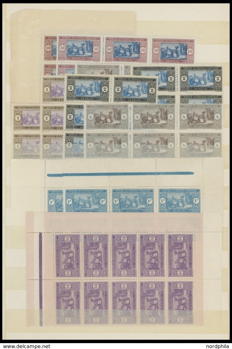 SENEGAL **, 1914-42, Postfrische Partie Mit Vielen Bogenteilen, Fast Nur Prachterhaltung - Senegal (1960-...)