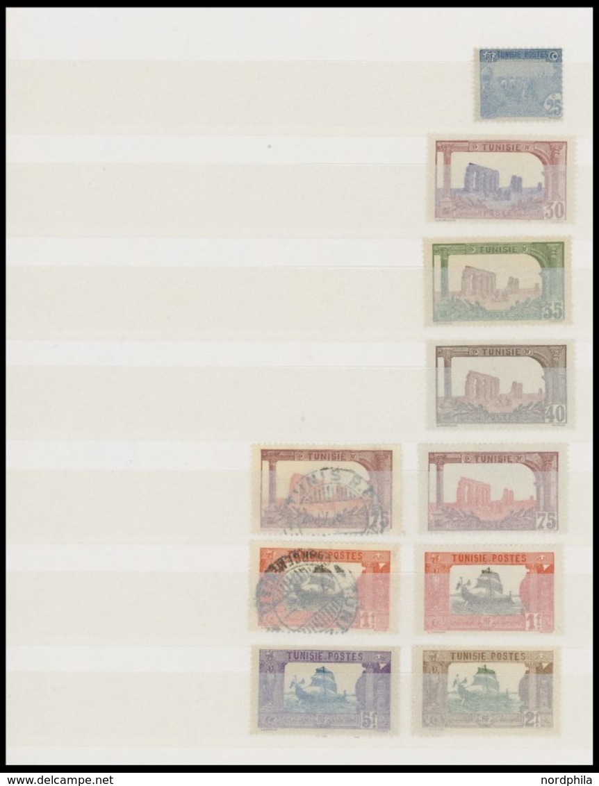 TUNESIEN **,* , 1906-45, Interessante Partie Mit Einigen Mittleren Ausgaben Und Vielen Blockstücken, Meist Postfrisch, F - Unused Stamps