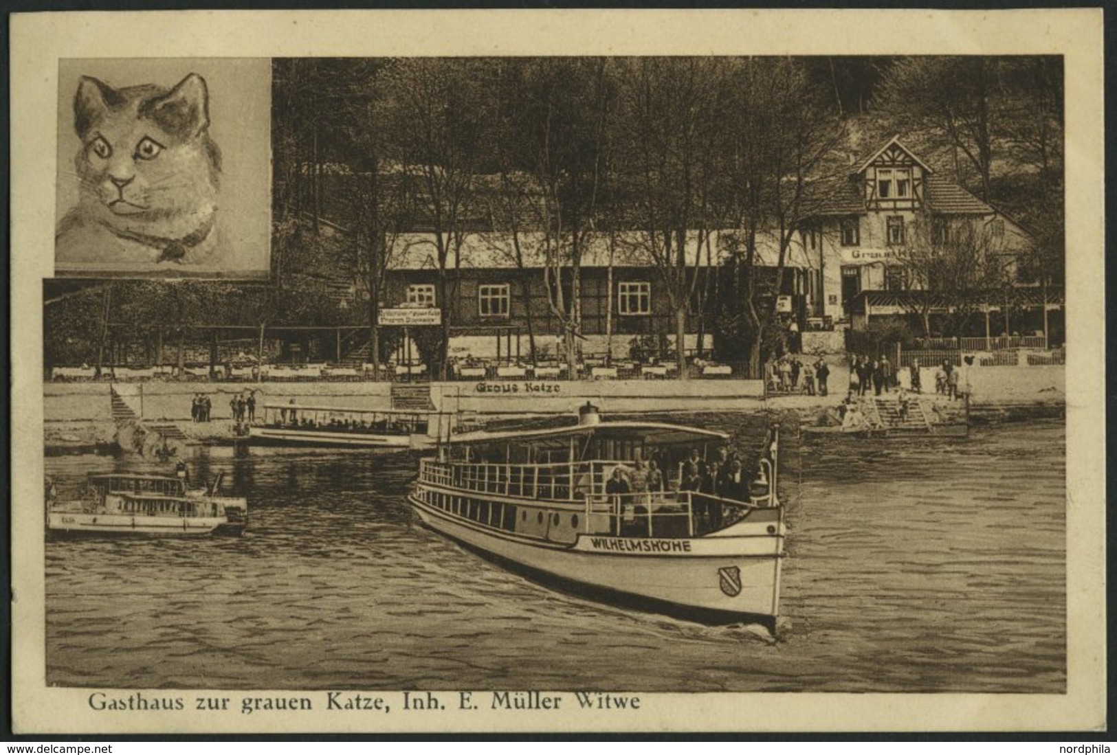 DEUTSCHLAND ETC. FULDATHAL BEI KASSEL, Gasthaus Zur Grauen Katze, Bahnpoststempel Halle-Kassel - Andere & Zonder Classificatie