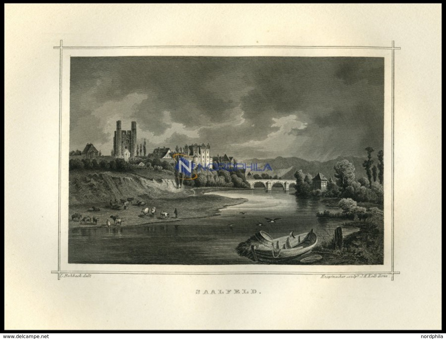 SAALFELD, Gesamtansicht übers Wasser Gesehen, Mit Tieren Im Vordergrund,Stahlstich Von Rohbock/Kolb Um 1850 - Litografia
