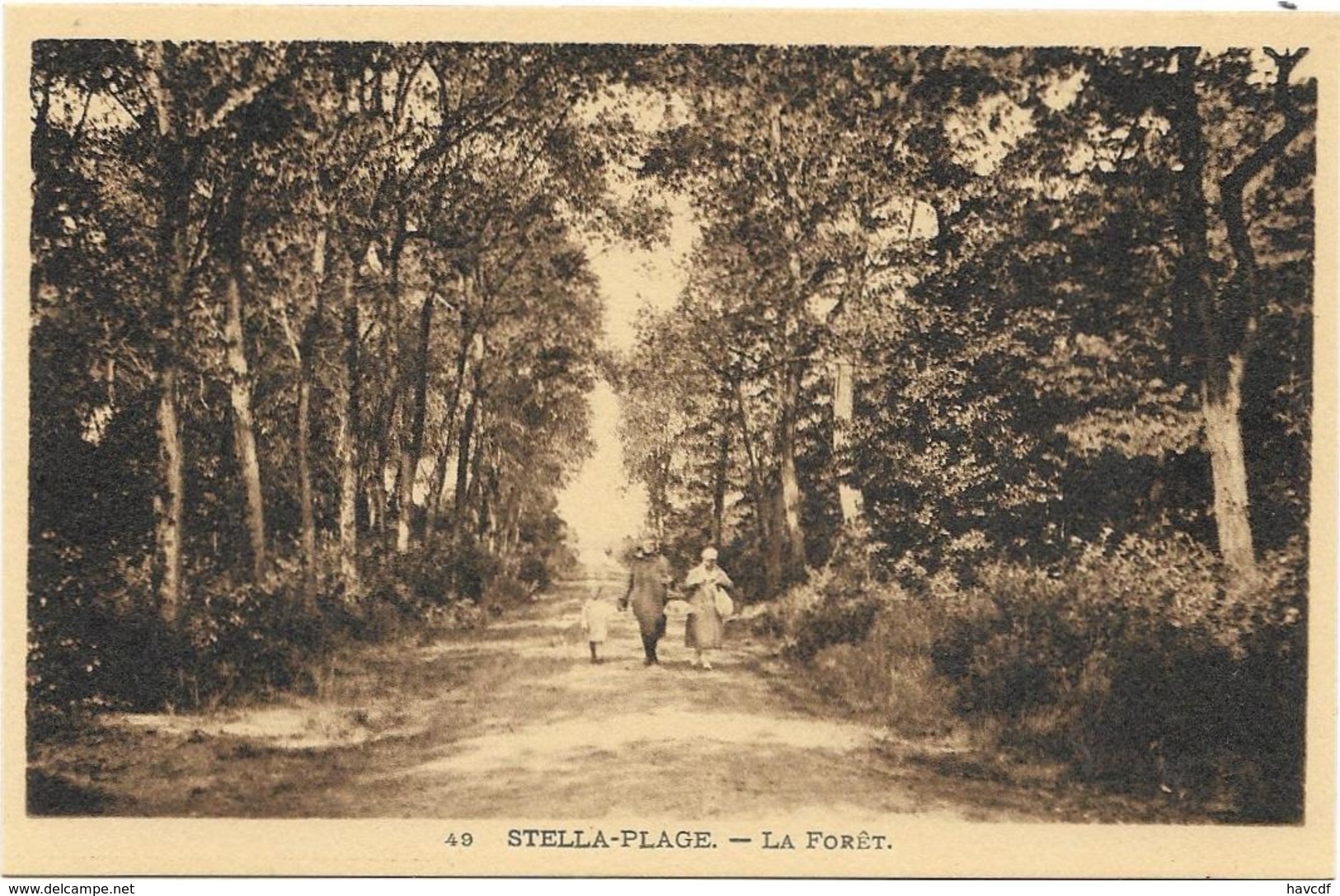 CPA - Edition PASQUIER- ANAN- 49 - STELLA-PLAGE - LA FORÊT - Autres & Non Classés