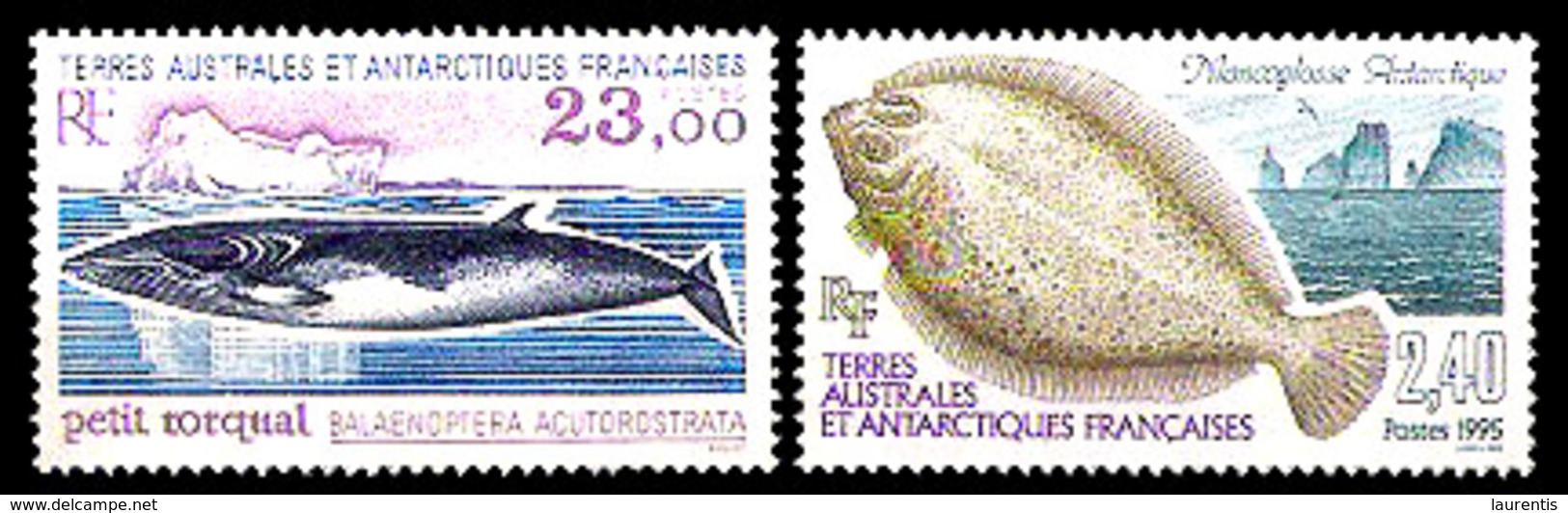 18619  Baleines - Whales - Fishes - TAAF Yv 196-97 MNH - 3,75 - Walvissen