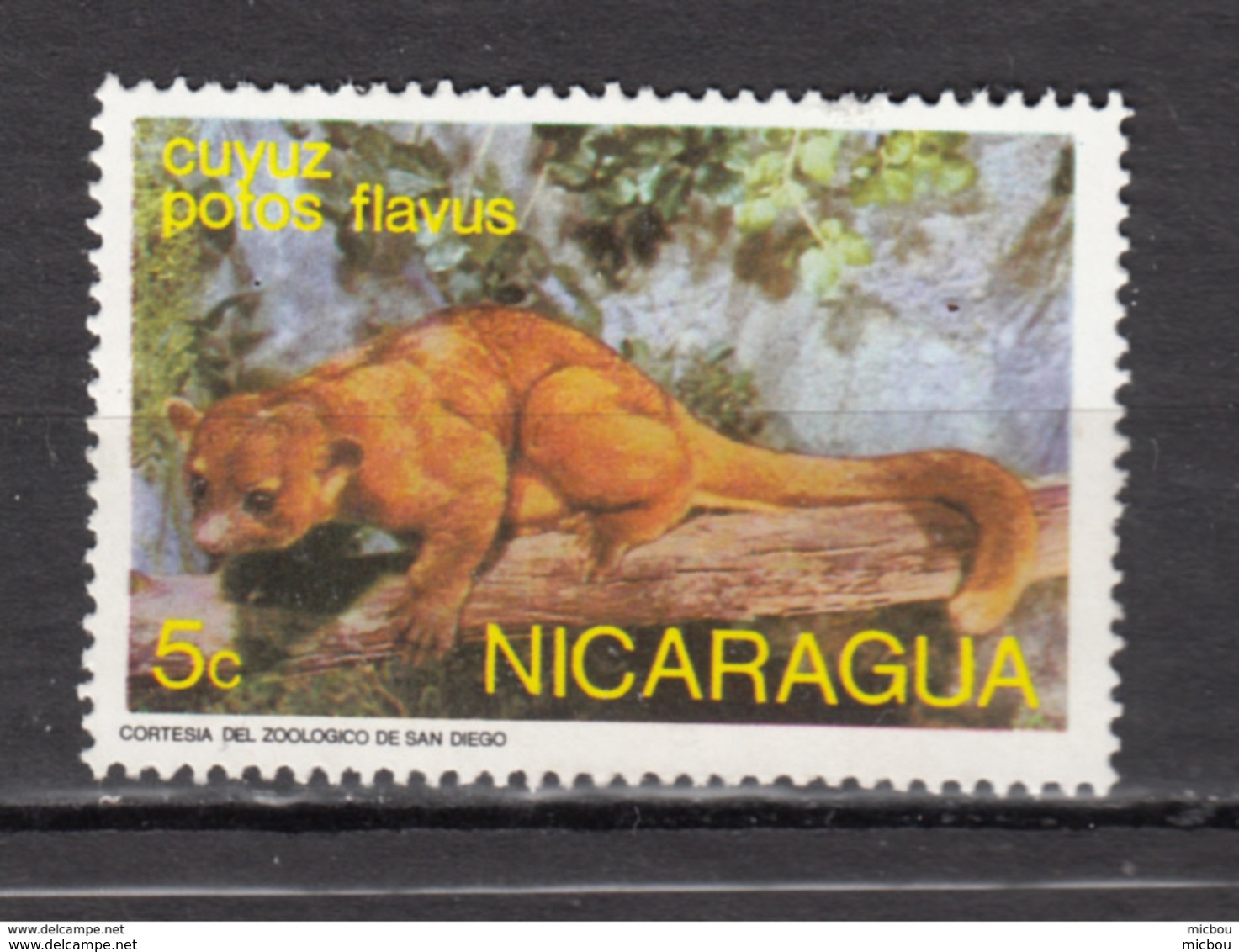 ##26, Nicaragua, Le Kinkajou (Potos Flavus), Zoo De San Diego - Nicaragua