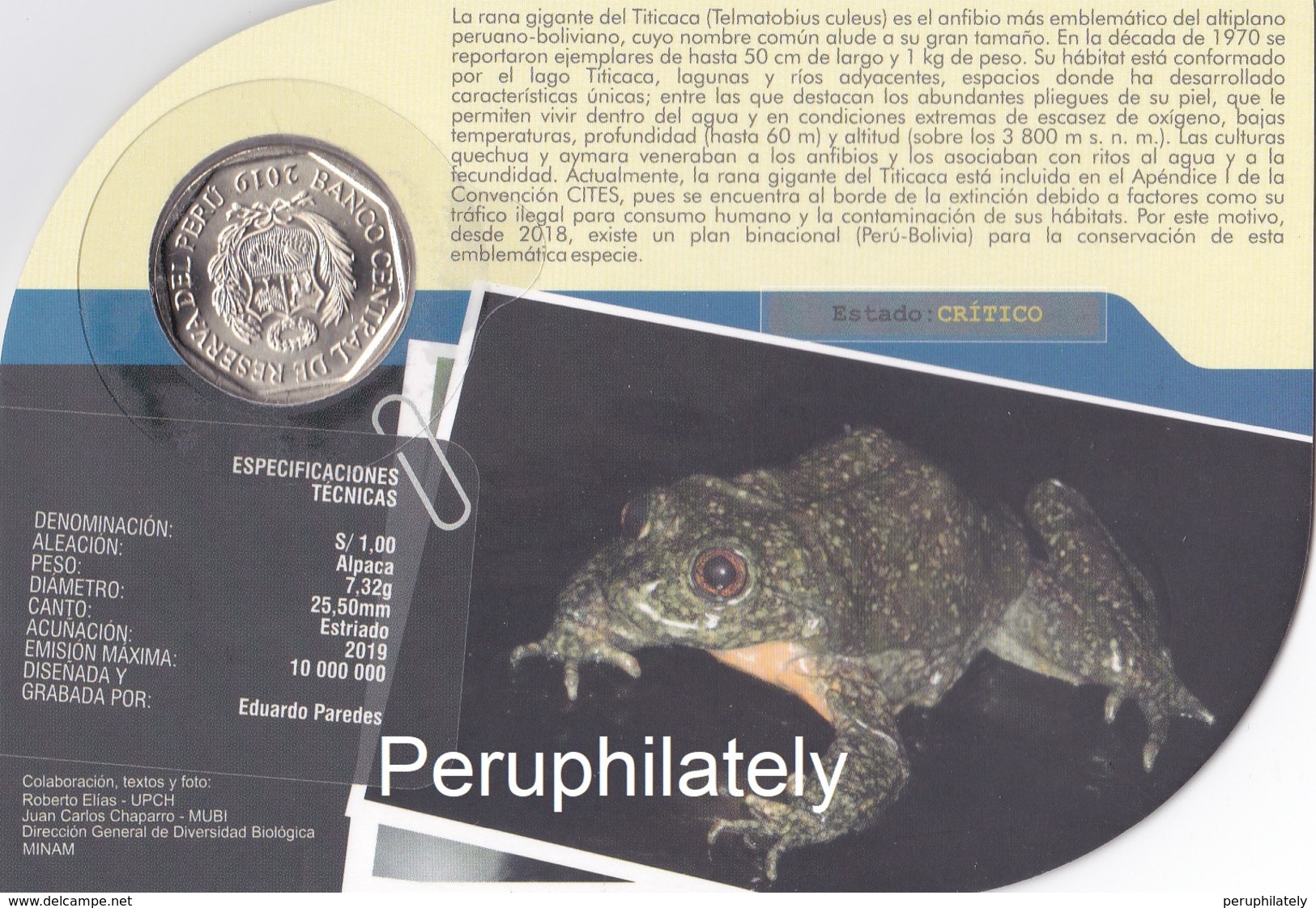 PERU 2019 , FROG GIANT , COIN ON CARD , MINT - Peru