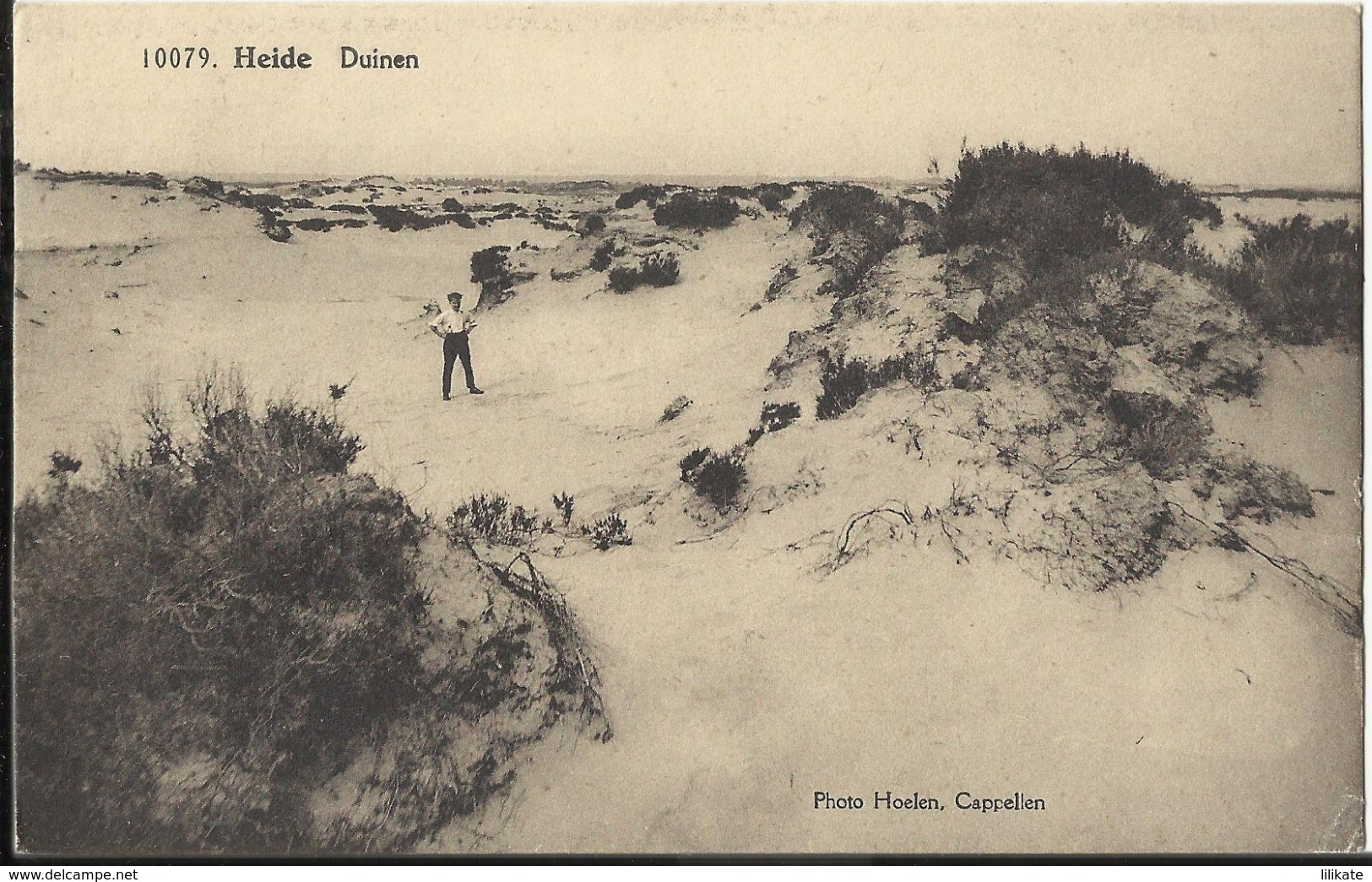 Kalmthout - Heide - Duinen - Utg. Hoelen Nr 10079 - 1928 - Kalmthout