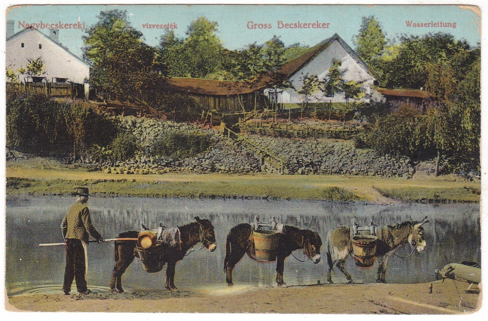 # 10700 Serbia, Nagybecskereki, Zrenjanin Postcard Mailed 1912: Water Pipe, Donkeys - Serbien