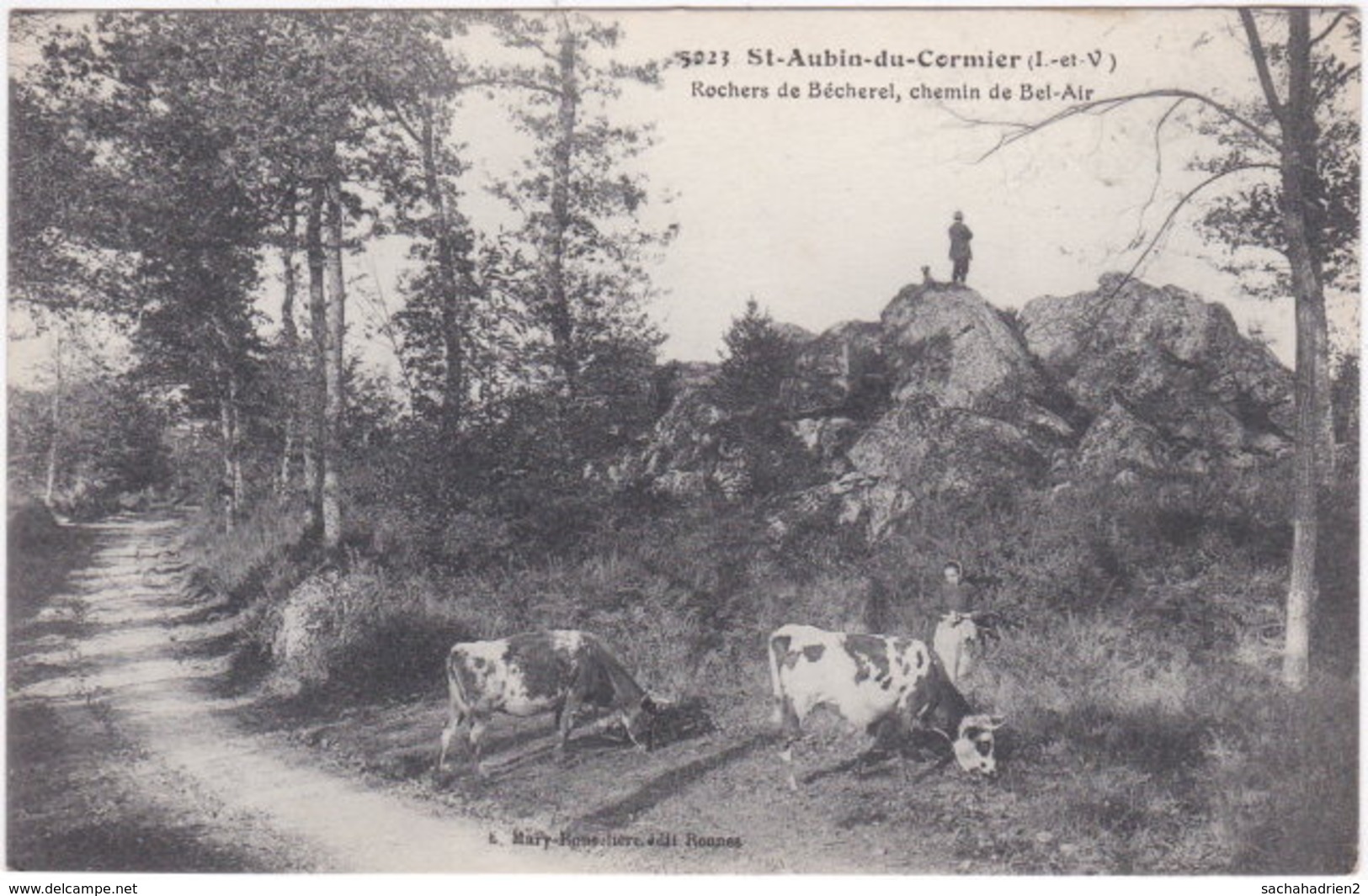 35. ST-AUBIN-DU-CORMIER. Rochers De Bécherel, Chemin De Bel-Air. 5023 - Autres & Non Classés