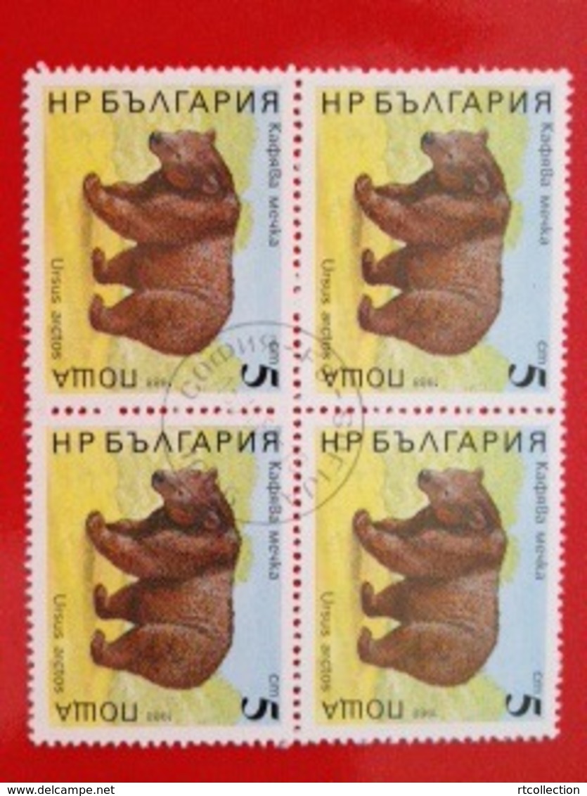 Bulgaria 1988 Wild Animals Animal Nature Bear Bears Mammal Mammals Ursus Arctos Stamps (1) Mi 3703 Sc 3559 CTO - Gebraucht