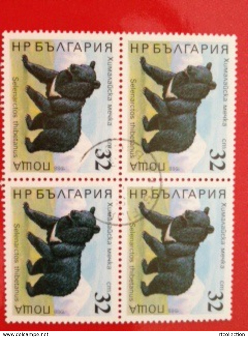 Bulgaria 1988 Block Wild Animals Nature Black Bear Bears Mammals Selenarctos Thibetanus Stamps (4) Mi 3707 Sc 3563 CTO - Used Stamps