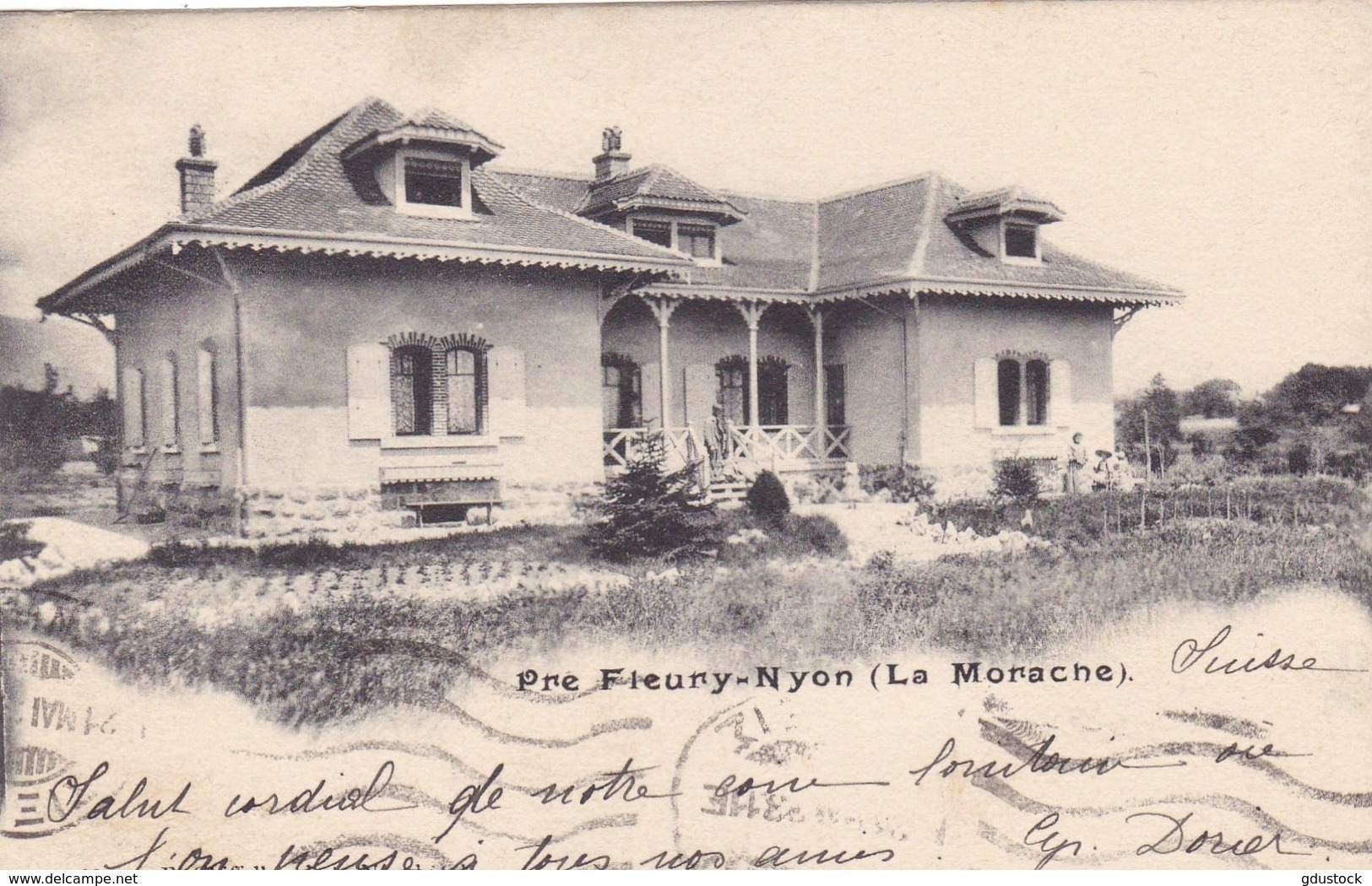 Suisse - Pre Fieury-Nyon (La Morache) - Nyon