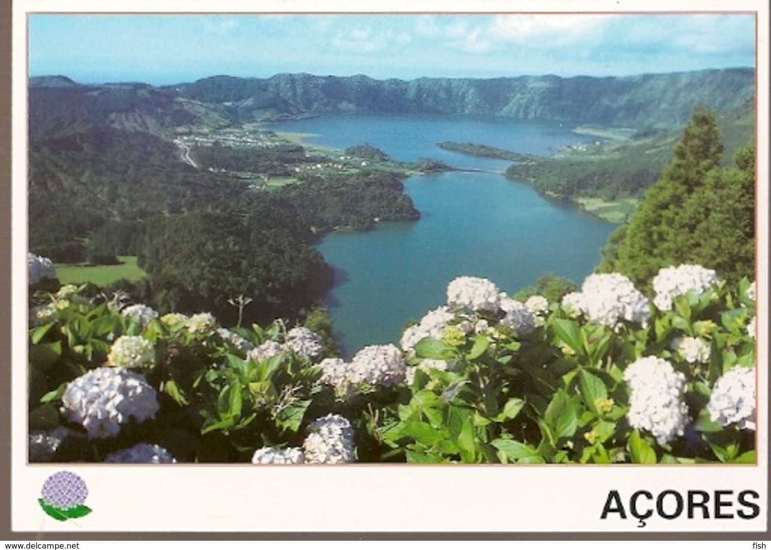 Portugal ** & Postal Stationery, Teal, Anas Crecca, Seven Cities Lagoon, Sao Miguel, Azores 1998 (5569) - Postal Stationery