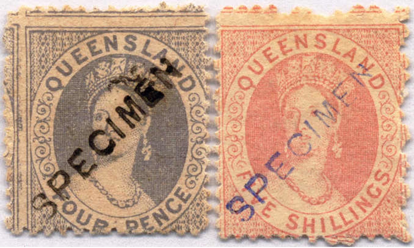 (*) 1866/67, 4 D., 5 Sh., (2), Violet And Black SPECIMEN Overprint, NG, F! Estimate 180€. - Sonstige & Ohne Zuordnung