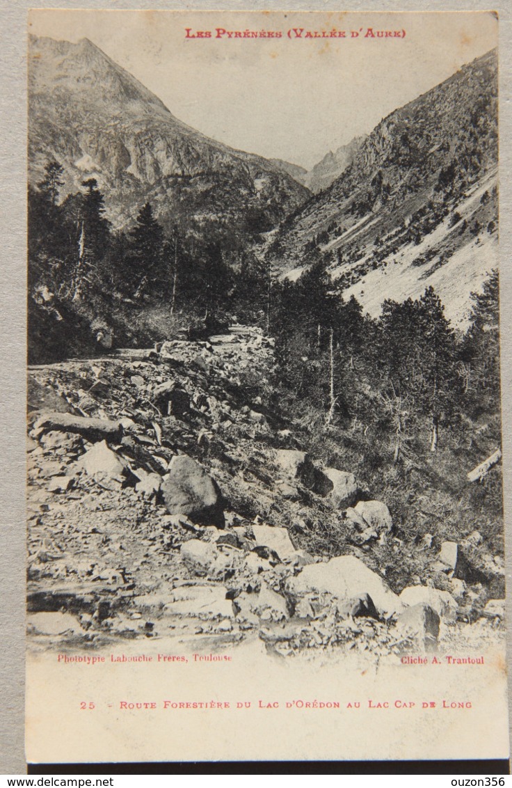 Vallée D'Aure, Route Forestière Du Lac D'Orédon Au Lac Cap De Long (Aragnouet, Hautes-Pyrénées) - Aragnouet