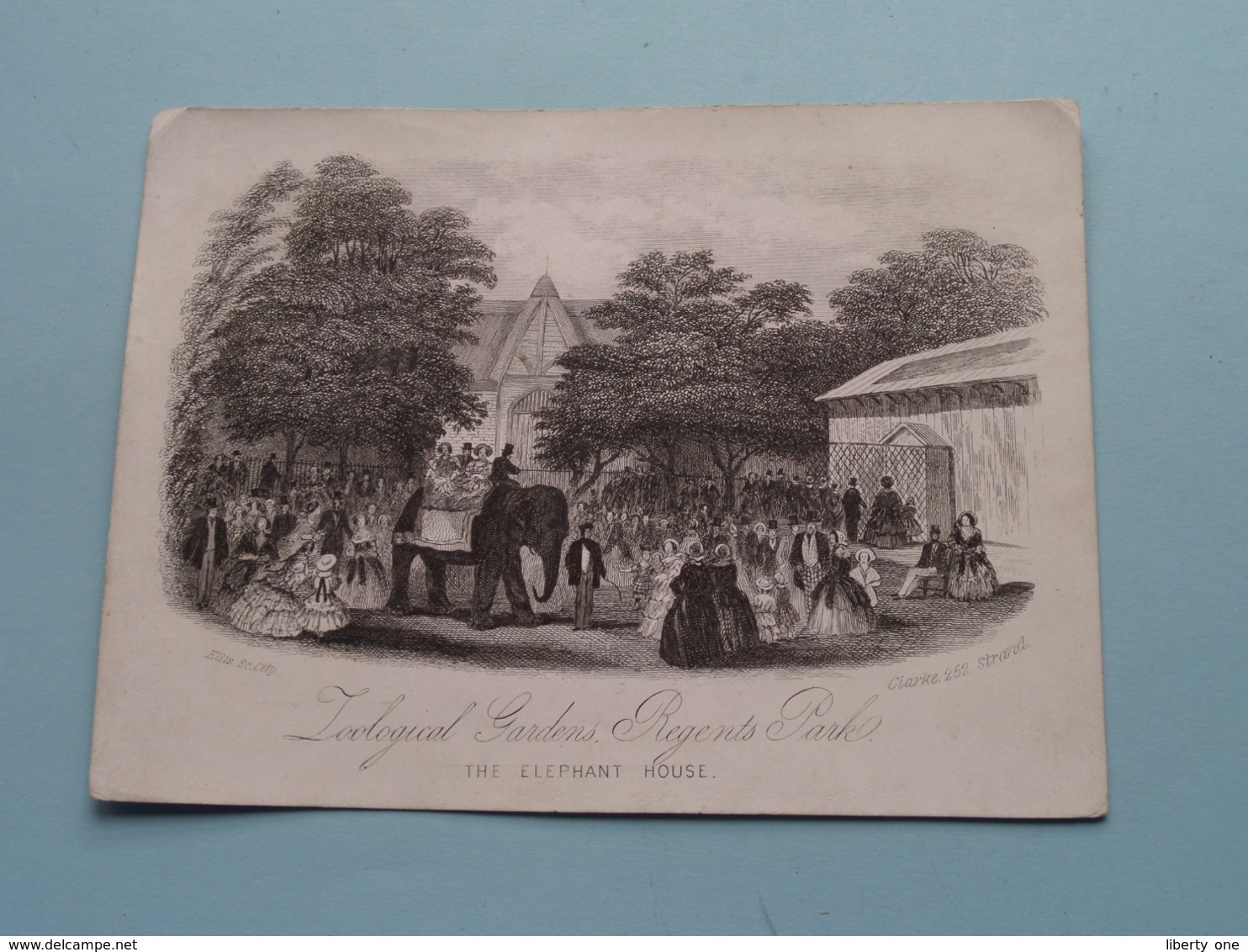 ZOOLOGICAL GARDENS, REGENTS PARK The Elephant House > ( Porcelein / Porcelaine ) Formaat +/- 15,5 X 11,5 Cm.! - Prenten & Gravure