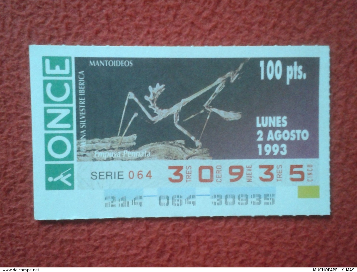 CUPÓN DE ONCE 1993 LOTTERY LOTERIE SPAIN LOTERÍA FAUNA FAUNE IBÉRICA EMPUSA PENNATA MANTIS PALO CONEHEAD RELIGIOSA O SIM - Billetes De Lotería