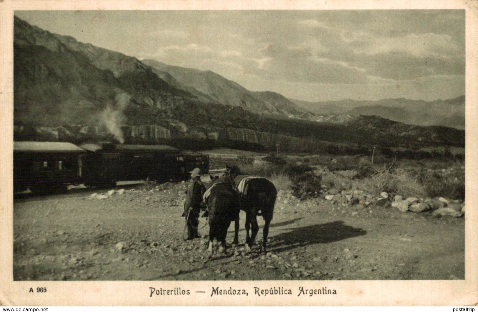 ARGENTINA. POTRERILLOS.  MENDOZA - Argentinië