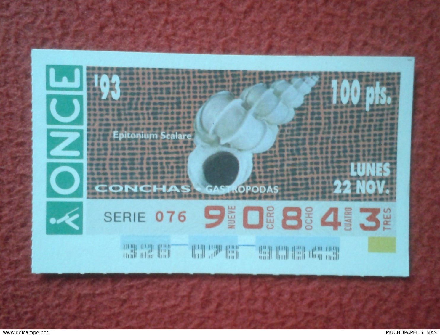 CUPÓN DE ONCE 1993 LOTTERY LOTERIE SPAIN LOTERÍA CONCHAS MARINAS O SIMIL MARINE SHELLS SHELL COQUILLAGES THE SEA CONCHA - Billetes De Lotería