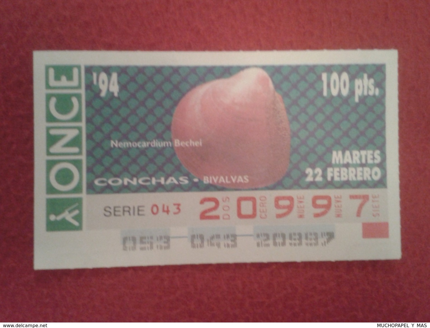 CUPÓN DE ONCE 1994 LOTTERY LOTERIE SPAIN LOTERÍA CONCHAS MARINAS O SIMIL MARINE SHELLS SHELL COQUILLAGES THE SEA CONCHA - Billetes De Lotería