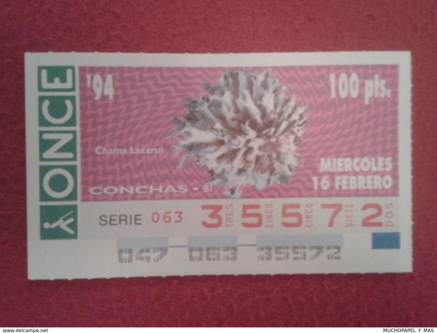 CUPÓN DE ONCE 1994 LOTTERY LOTERIE SPAIN LOTERÍA CONCHAS MARINAS O SIMIL MARINE SHELLS SHELL COQUILLAGES THE SEA CONCHA - Billetes De Lotería