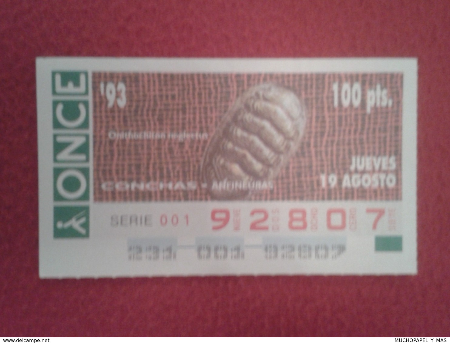 CUPÓN DE ONCE 1993 LOTTERY LOTERIE SPAIN LOTERÍA CONCHAS MARINAS O SIMIL MARINE SHELLS SHELL COQUILLAGES THE SEA CONCHA - Billetes De Lotería