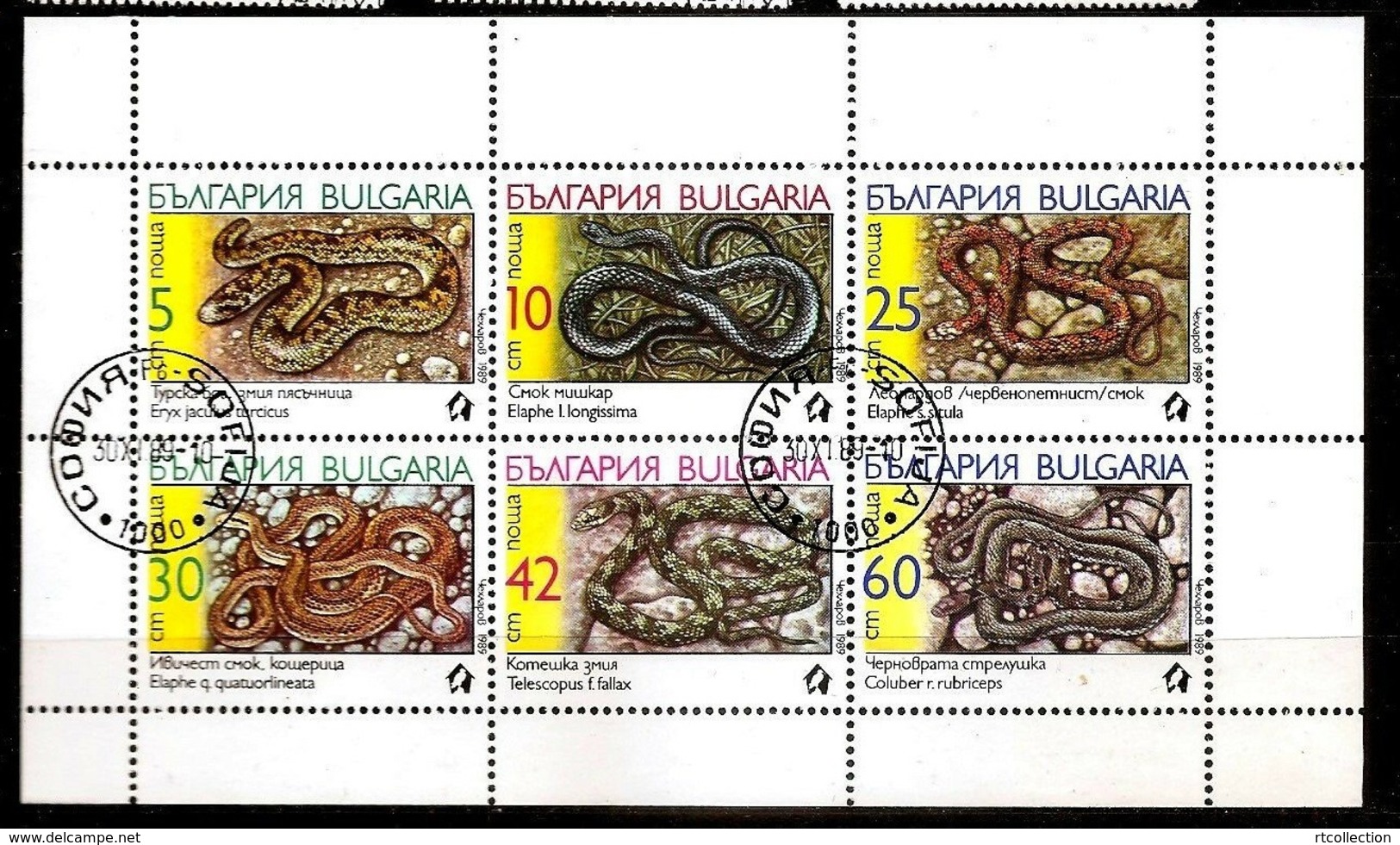 Bulgaria 1989 Wild Animal Animals Nature Snakes Snake Reptiles Reptiles M/S CTO Stamps Michel 3784-3789 Klb Scott#3496a - Used Stamps