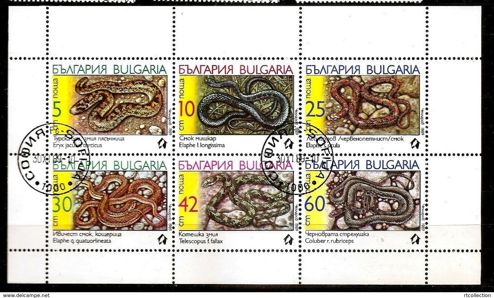 Bulgaria 1989 Wild Animal Animals Nature Snakes Snake Reptiles Reptiles M/S CTO Stamps Michel 3784-3789 Klb Scott#3496a - Snakes